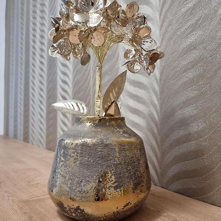 Banská Štiavnica Bivio Apartment Dolna מראה חיצוני תמונה