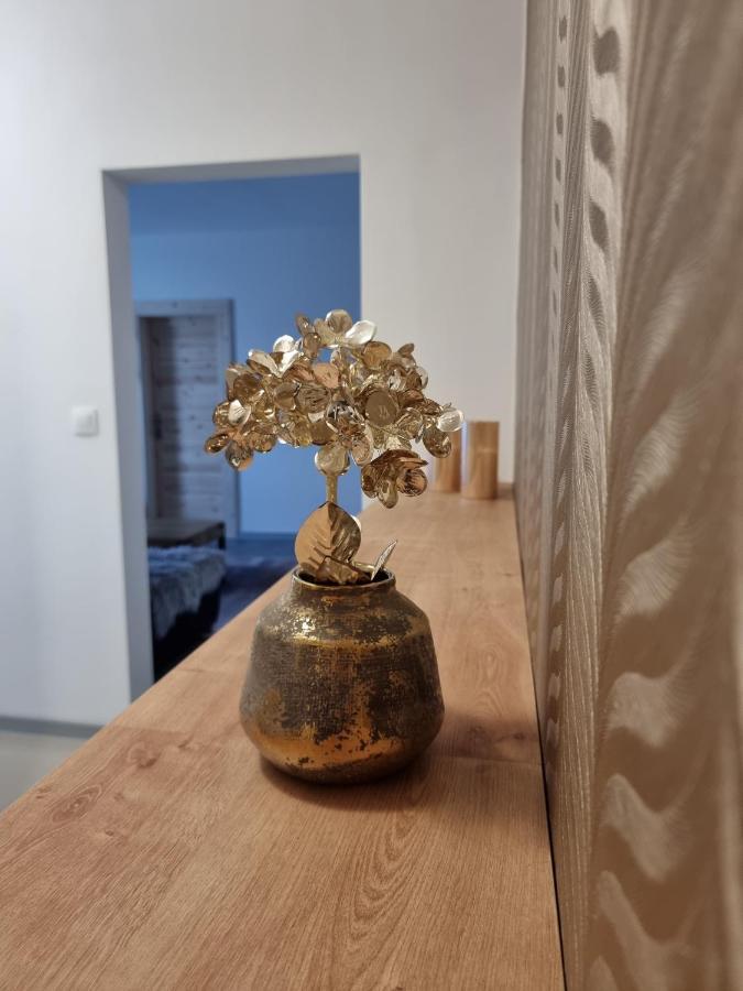 Banská Štiavnica Bivio Apartment Dolna מראה חיצוני תמונה